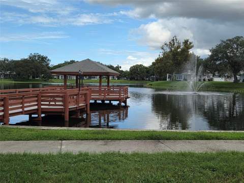 10641 Tonapa Loop, Port Richey FL - photo 24 of 25