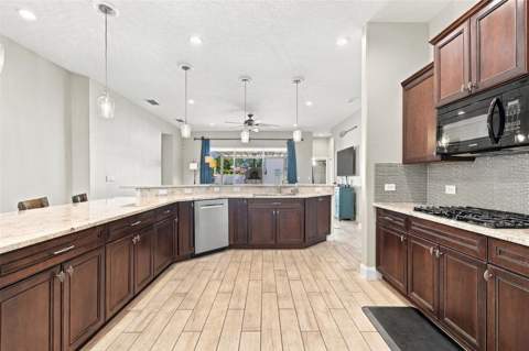 3335 Stonegate Falls Drive, Land O Lakes FL - photo 17 of 83