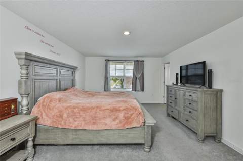 5244 Fiddle Fig Avenue, Wimauma FL - photo 19 of 51