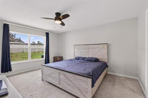 9972 Mesic Woods Avenue, Seffner FL - photo 24 of 55