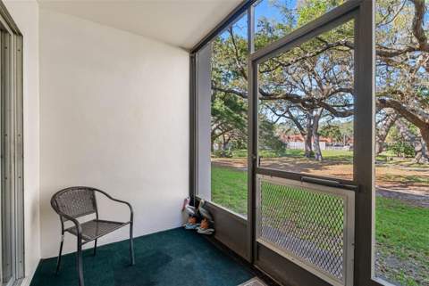 870 Virginia Street #104, Dunedin FL - photo 14 of 21