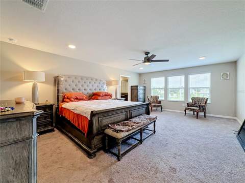 4923 Eagle Rock Drive, Wimauma FL - photo 21 of 44