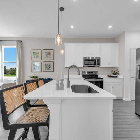 3957 Pentas Road, Tavares FL - photo 9 of 35