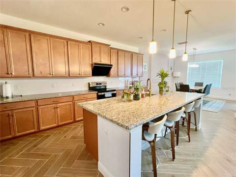 5019 Down Court, St Cloud FL - photo 6 of 29
