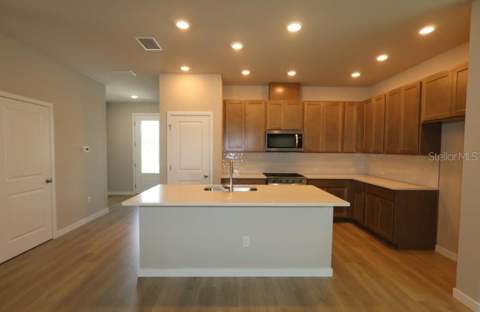 2823 Crimson Cap Street, Odessa FL - photo 8 of 19