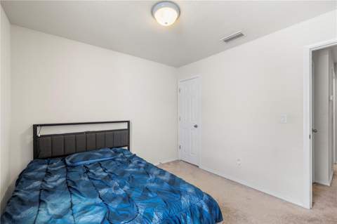 9335 American Hickory Lane, Riverview FL - photo 22 of 44