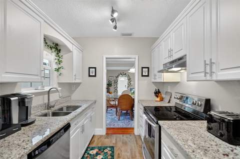 418 E 10th Avenue, Mount Dora FL - photo 11 of 63