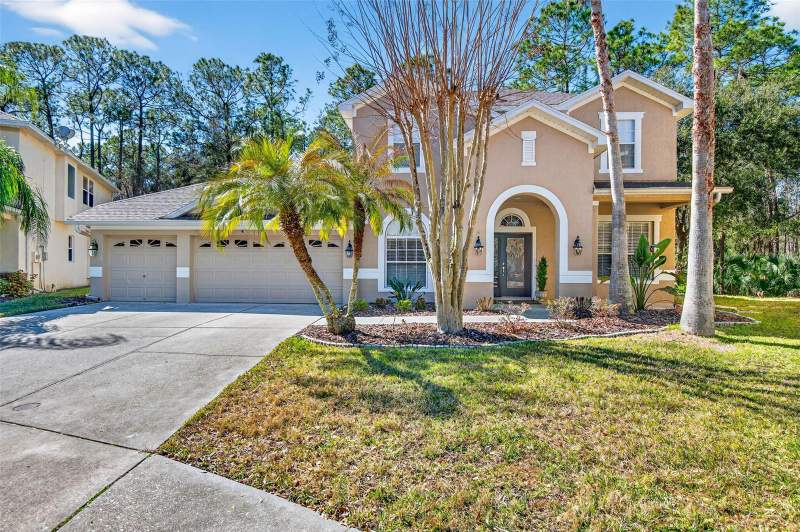 Buckingham At Tampa Palms