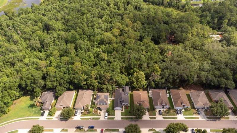 4 bedroom Single Family Residence at 6249 Twin Bridges Drive, Greens At Hidden Creek, Zephyrhills — photo 5