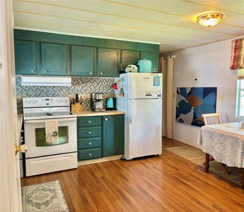 310 Mount Piney Avenue #266, St Petersburg FL - photo 8 of 17