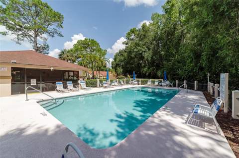 3430 Hillmoor Drive, Palm Harbor FL - photo 23 of 28