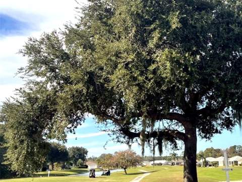 507 Cottage Park Lane, Leesburg FL - photo 22 of 25