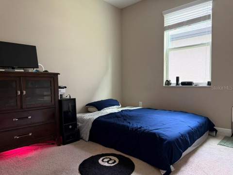 7749 Bronze Oak Drive, Wesley Chapel FL - photo 16 of 38