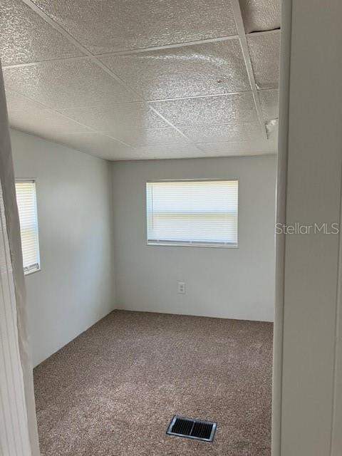 3350 Courtney Drive, Holiday FL - photo 14 of 25