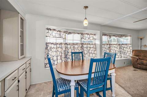 3318 Carnation Lane, Zephyrhills FL - photo 21 of 63