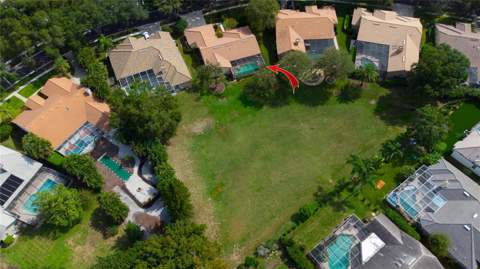 2194 Pinnacle Circle, Palm Harbor FL - photo 8 of 41