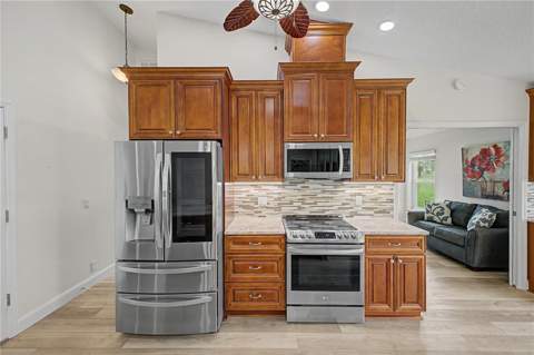 2235 Springmeadow Drive, Spring Hill FL - photo 17 of 61
