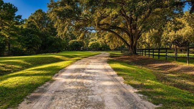 4 bedroom Farm at 16525 SW 5th Place, Archer Farms, Newberry — photo 3