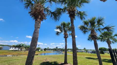 2604 McDaniel Drive, Kissimmee FL - photo 20 of 27
