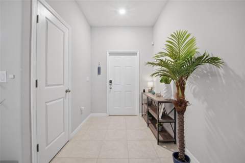 4459 Globe Thistle Drive, Tampa FL - photo 17 of 56