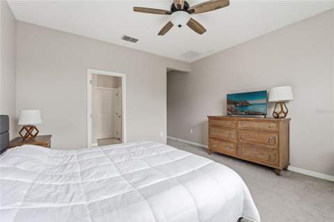 2673 Spider Lily Court, Clermont FL - photo 18 of 48