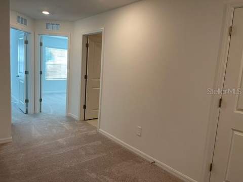 36217 Risa Michele Street, Zephyrhills FL - photo 14 of 26