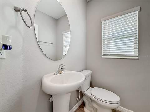 7405 Evening Primrose Court, Tampa FL - photo 22 of 59