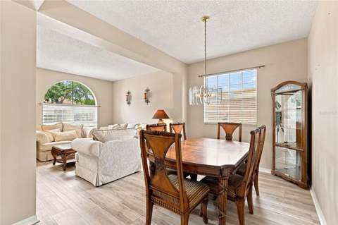 10526 Beneva Drive, Tampa FL - photo 6 of 43