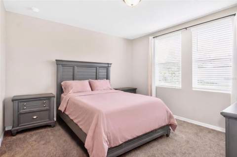 3729 Radiant Mountain Drive, Plant City FL - photo 18 of 38