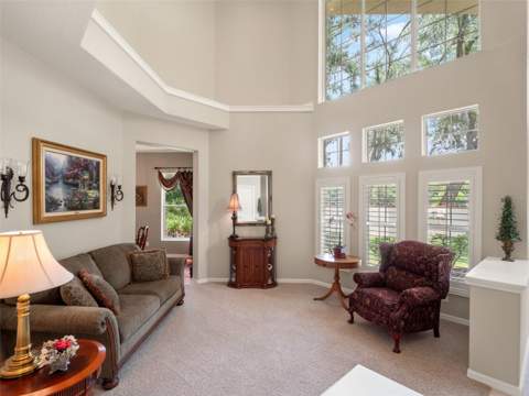17422 Heather Oaks Place, Tampa FL - photo 8 of 78