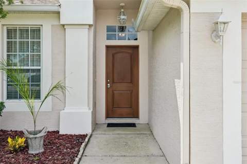 4236 Tarkington Drive, Land O Lakes FL - photo 13 of 39