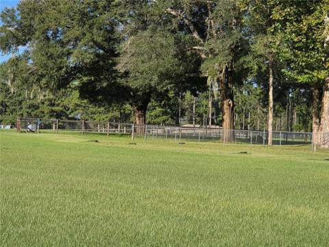 950 W Highway 316, Citra FL - photo 13 of 24