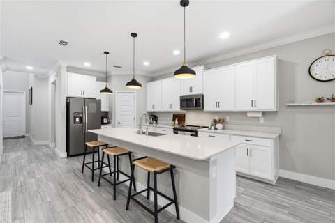 9807 Wild Begonia Loop, Land O Lakes FL - photo 10 of 48