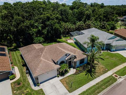 6646 Garden Palm Court, New Port Richey FL - photo 10 of 79