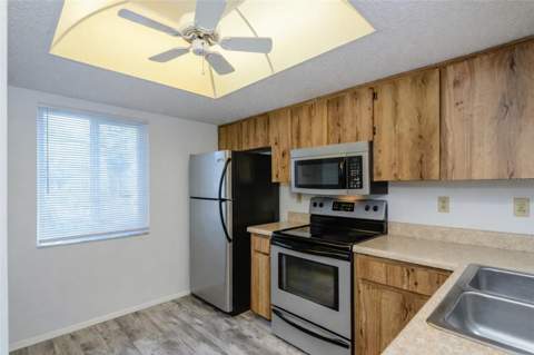 207 Cypress Lane, Oldsmar FL - photo 7 of 25
