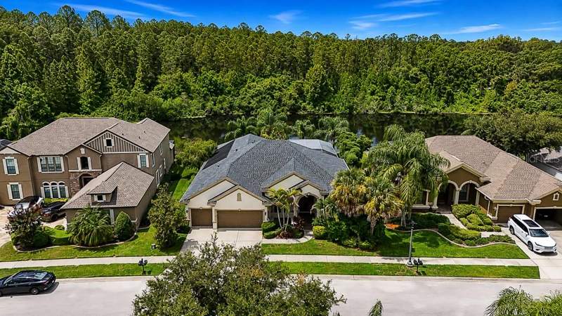 1637 ABYSS DRIVE home for sale in Grey Hawk At Lake Polo Homes for Sale: From $700K