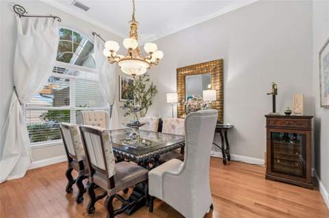 17705 Grey Eagle Road, Tampa FL - photo 10 of 78