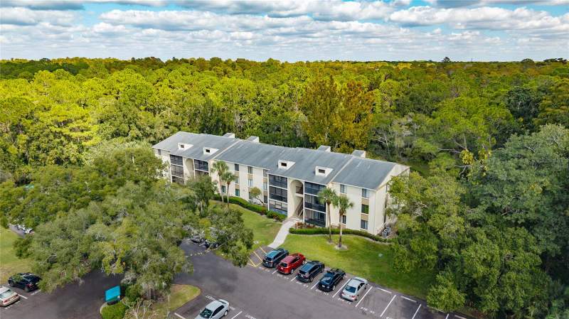 3232 LAKE PINE WAY #F2 home for sale in Pine Ridge At Lake Tarpon Village