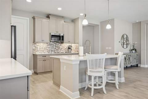 33287 Sycamore Leaf Drive, Wesley Chapel FL - photo 15 of 61