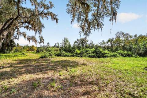 5686 E Highway 316, Citra FL - photo 17 of 40