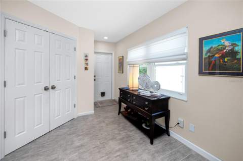 10504 Lacera Drive, Tampa FL - photo 13 of 41