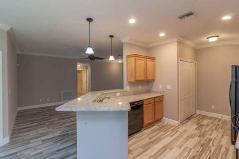 16200 Lenord Street, Umatilla FL - photo 7 of 20