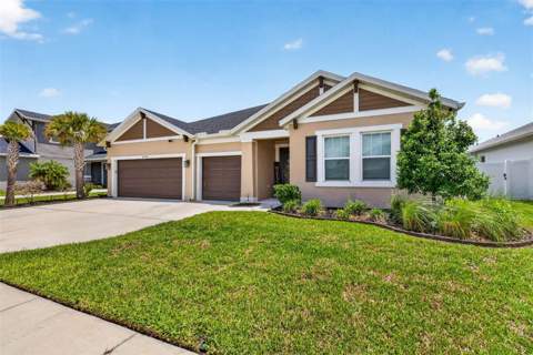 6946 Talamore Drive, Wesley Chapel FL - photo 6 of 76