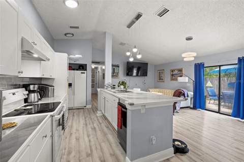 1335 15th Street, Palm Harbor FL - photo 13 of 36