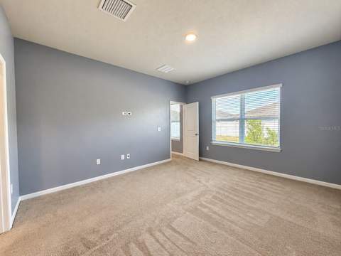 29307 Meadowcroft Avenue, Wesley Chapel FL - photo 15 of 36