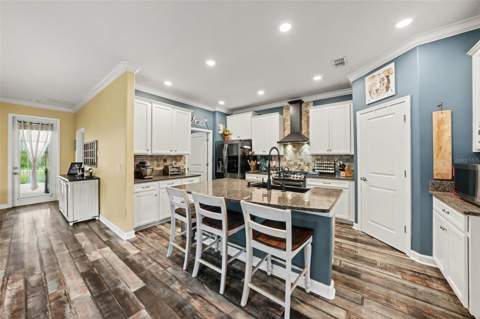 21922 Crest Meadow Drive, Land O Lakes FL - photo 11 of 30