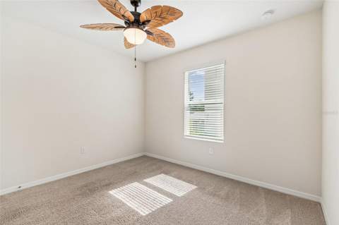 35525 Stella Vast Drive, Zephyrhills FL - photo 18 of 51