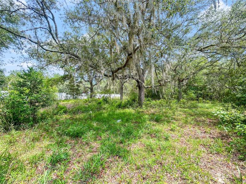 5 bedroom Single Family Residence at 23162 SW Neptune Boulevard, Rainbow Lake Estates, Dunnellon — photo 3