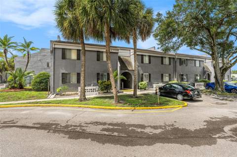 3822 Cortez Drive #D, Tampa FL - photo 6 of 6