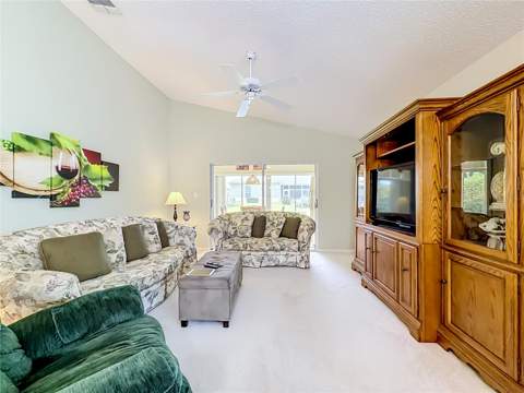 25243 River Crest Drive, Leesburg FL - photo 20 of 70